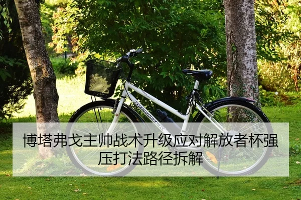 bo-ta-fu-ge-zhu-shuai-zhan-shu-sheng-ji-ying-dui-jie-fang-zhe-bei-qiang-ya-da-fa-lu-jing-chai-jie-2-385.jpg